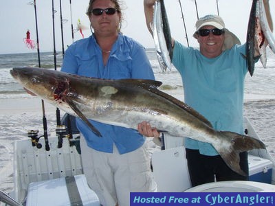 Click to Enlarge Photo