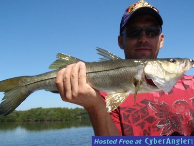 Click to Enlarge Photo