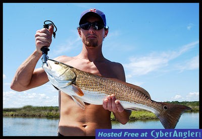 Click to Enlarge Photo