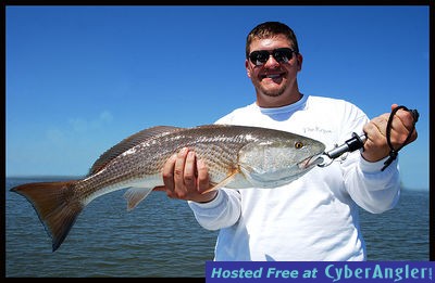 Click to Enlarge Photo