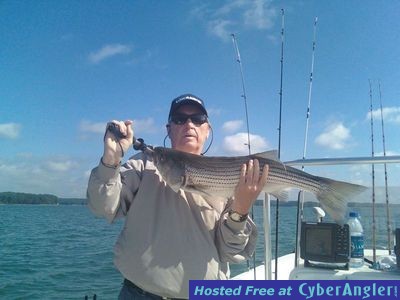 Click to Enlarge Photo