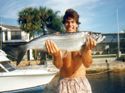 A baby Florida tarpon.