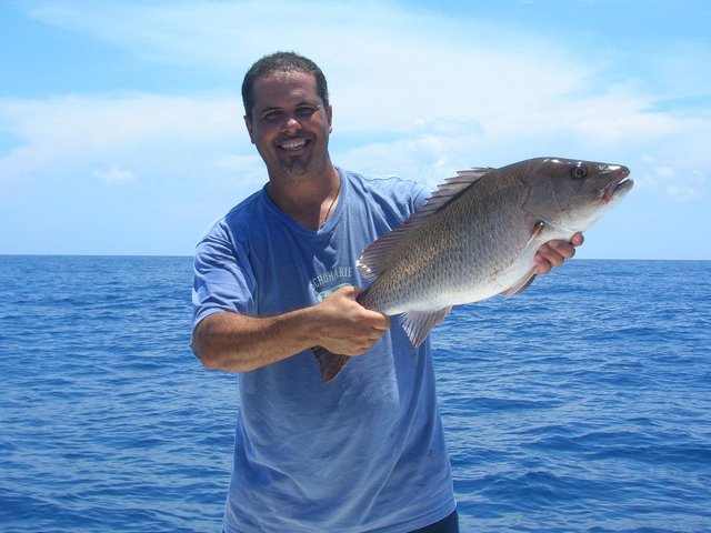DSCN4639.jpg