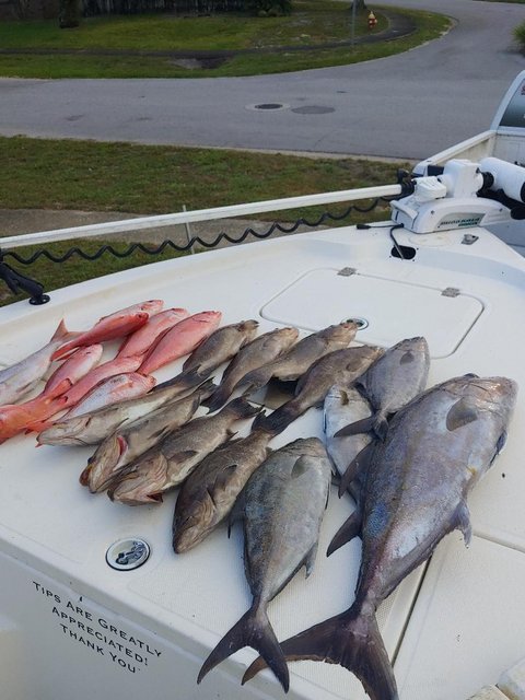Pensacola beach fishing charters 3.jpg