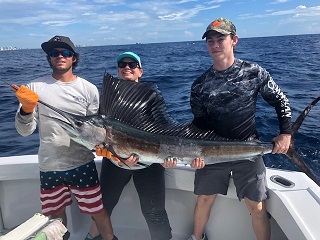 Sailfish Troy s.jpg