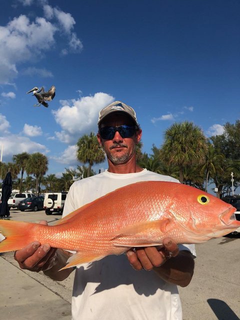 Red Snapper 2-9-21.jpg