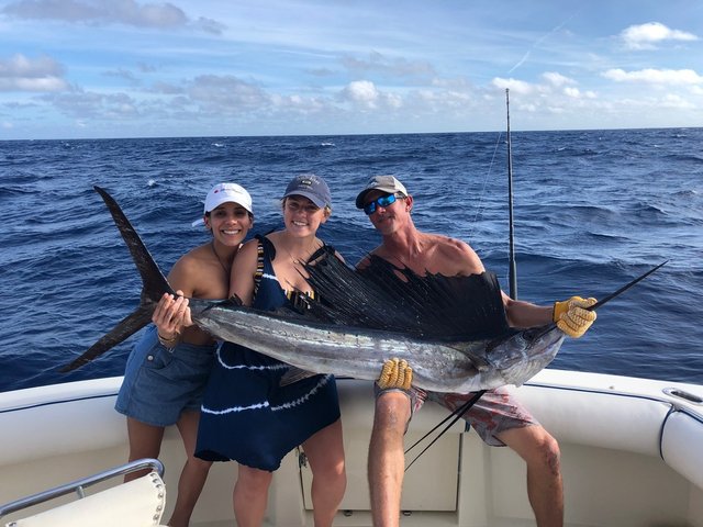 Sailfish_2-14-21_50.jpg