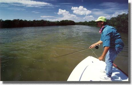 Flyfishing a Promising Florida Creek.