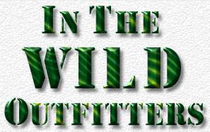 Fly Fishing Tampa with In The Wild Outfitters