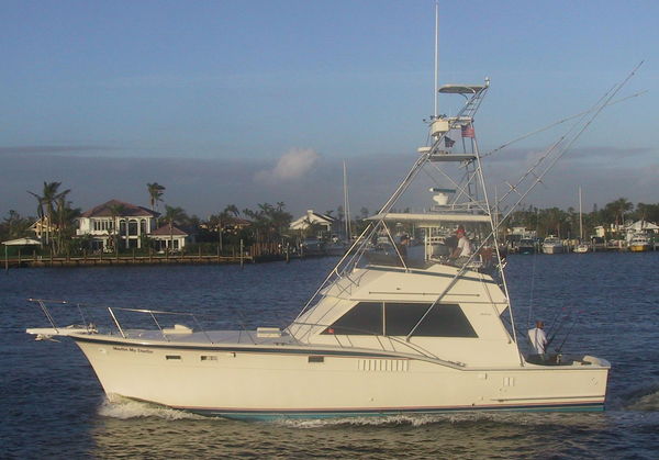 3rd Week Of March Fishing Charters In Fort Lauderdale