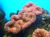 1607P1000066.JPG