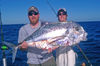 2-19-11_african_pompano.jpg