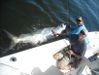 200lb_tarpon_david_wood.jpg