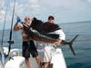 2409Galestonsailfish.jpg