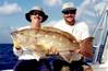 795Yellow_Edge_Grouper.JPG