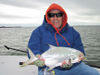 BillMooreSBCALshadpompano.jpg
