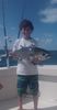 Blackfin.jpg
