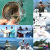 Collage1.jpg