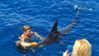 CostaRicaFishingMarlin12272012C500.JPG