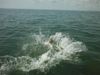DSCF7084.JPG