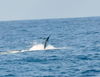DSC_0128.JPG