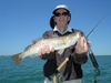 DenisClohisySBflytrout2.jpg