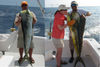 EarlyMay2010Double.jpg