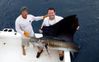 EndSeptemberSailfish2012A.JPG