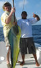 Feb3Dorado.jpg