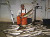 FishNFun_016.jpg