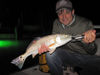 GrayMcLeanSarasotanightflyredfish.jpg