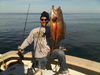 Groper_Myrtle_Beach_Deep_Sea_Fishing.jpg