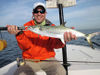 JakeHarmsSBUltraHairClouserflySpanishmackerel.jpg