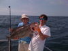 Josh_s_50lb_Grouper.JPG