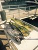 Jupiter_Fishing_Charters34.jpg