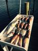 Jupiter_Fishing_Charters36.jpg