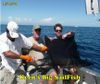 KeenSailfish09.jpg