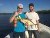 Large_Jack_Crevalle_-_tackle_Busters_tampa_Florida.jpg