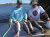 Limits_of_Redfish_in_Tampa_Bay.jpg