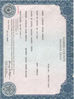 Lindsey-Birth-Certificate.jpg