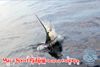 Mar_1_Sportfishing_March_3_2013_8_.jpg