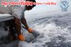 Mar_1_Sportfishing_March_3_2013_9_.jpg