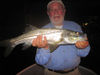 MartinMarlowVeniceflynightsnook.jpg