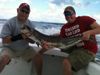Nice_cobia_caught_by_Brett_and_his_dad_with_New_Lattitude_Sportfishing.jpg