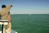 NickHuffSarasotaflytarpon.jpg