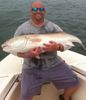 North_Carolina_Breeder_Red_Drum.jpg