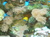 P1000637.JPG
