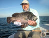 PatriceCamillieriSarasotaGrassettFlatsMinnowflytripletail2a.jpg