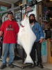 Ron_Halibut_600_x_8001.JPG