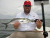 RossSheddenSBflybluefish.jpg